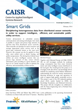 CAISRsmartGrids.jpg