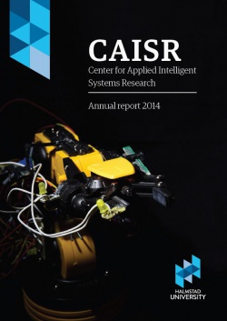 CAISR report front page.jpg