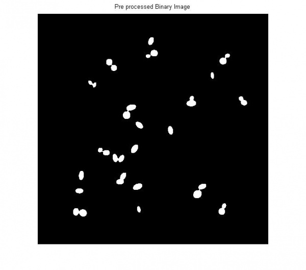 Pre Processed Input Binary Image