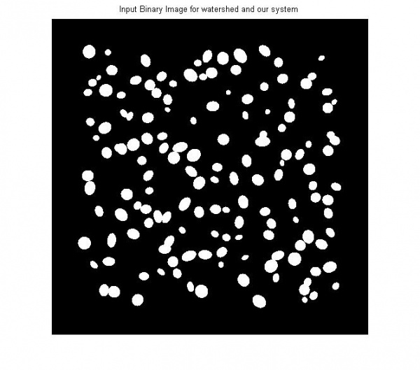 Input Binary Image from classifier containing 150 cells